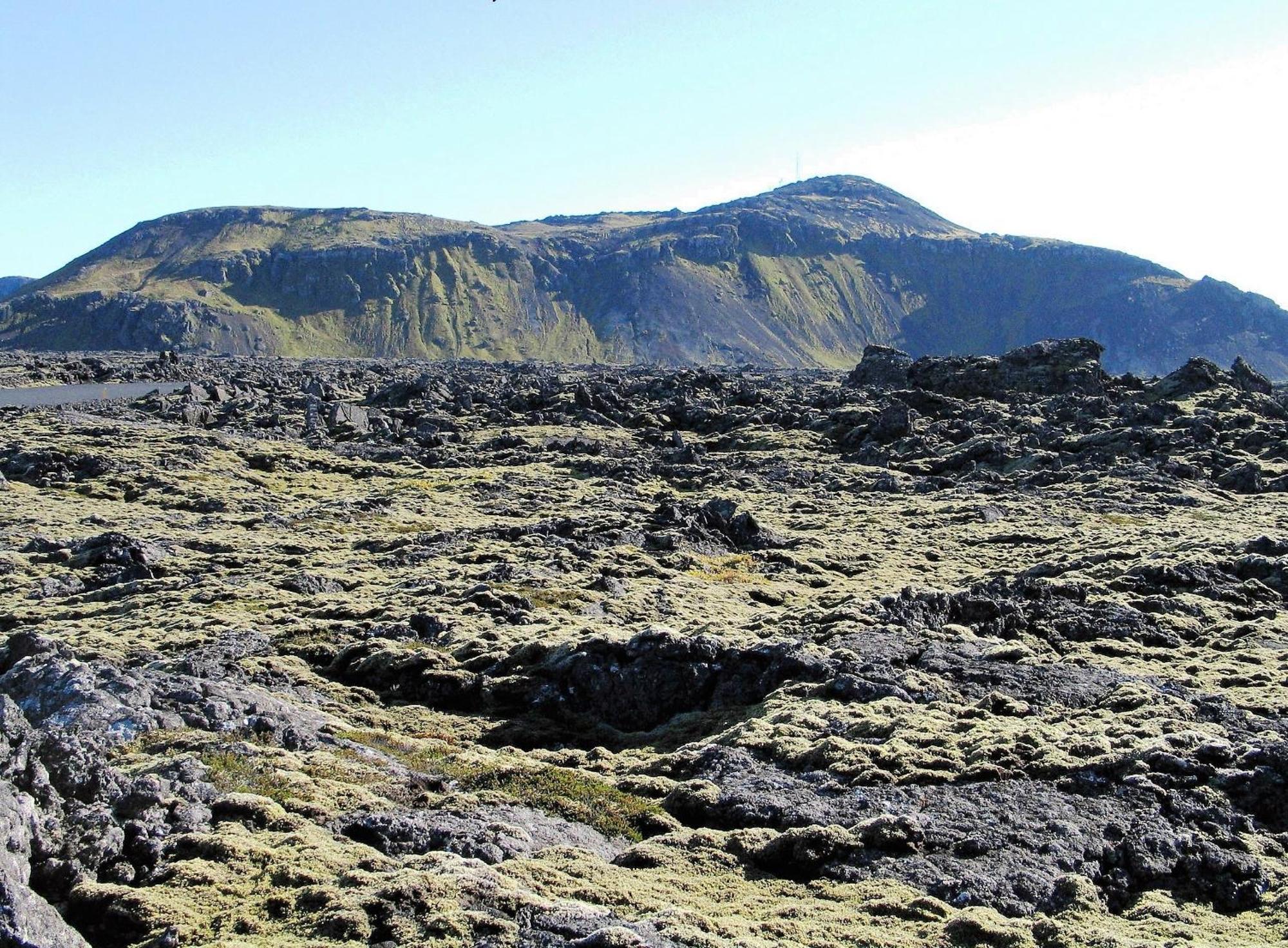 Reykjanes Guesthouse Grindavík Zewnętrze zdjęcie
